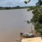 Raio atinge árvore e mata mulher durante pescaria em Corumbá