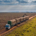Suzano teria opção para tritrens, mas escolheu estrada turística para ‘ganhar tempo’, denunciam ambientalistas