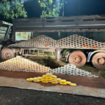 PRF apreende 392 Kg de cocaína em Miranda (MS)