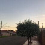 Tempo estável predomina e máxima deve atingir os 35ºC em MS