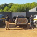 PRF apreende 1 tonelada de maconha em Jardim (MS)