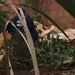 Homem desaparecido corpo é encontrado no quintal de sua casa em Sidrolândia