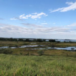 Workshop da UEMS discute o enfrentamento climático com captura de carbono em reserva no sul do Estado