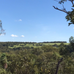Altas temperaturas e baixa umidade do ar marca Fim de semana
