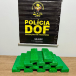 Adolescente que seguia com maconha para o Rio Grande do Sul é apreendido pelo DOF no município de Tacuru