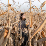 Colheita de milho avança, mas produção da segunda safra ainda é incerta