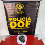 Homem que seguia com maconha para o Paraná é preso pelo DOF em Amambai