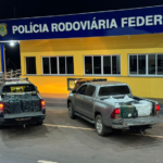 Novo recorde: PRF apreende 1,3 tonelada de cocaína em Paranaíba