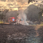 Incêndio consome área de vegetação no Parque da Lagoa Comprida