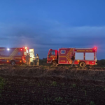 Homem é picado por jararaca em Miranda