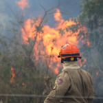 Operação Pantanal: bombeiros de MS lutam para conter grandes chamas na região do Nabileque
