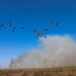 Chuva pode cair no Pantanal na próxima semana