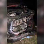 Anta é atropelada e caminhonete fica com a frente destruída na BR-060, em Jardim