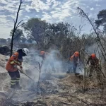 Governo federal reconhece desastre por incêndios florestais em Miranda