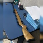 Vizinho alega que queria apenas ‘assustar’ gato morto com espingarda de pressão