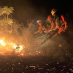 Em Mato Grosso do Sul, fogo aumentou 684% em 9 meses