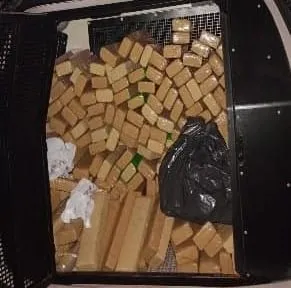 Polícia Civil prende casal de traficante em Campo Grande