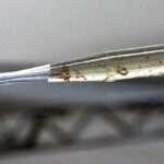 Aquidauana intensifica combate ao mosquito após aumento de casos de dengue e Chikungunya