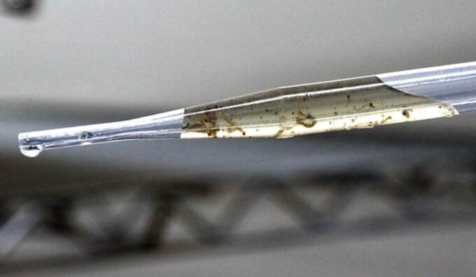 Aquidauana intensifica combate ao mosquito após aumento de casos de dengue e Chikungunya