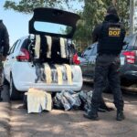 Mais de 130 quilos de cabelo humano são apreendidos pelo DOF em Ponta Porã