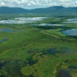 Petrobras financia projeto coordenado pela UFMS no Pantanal