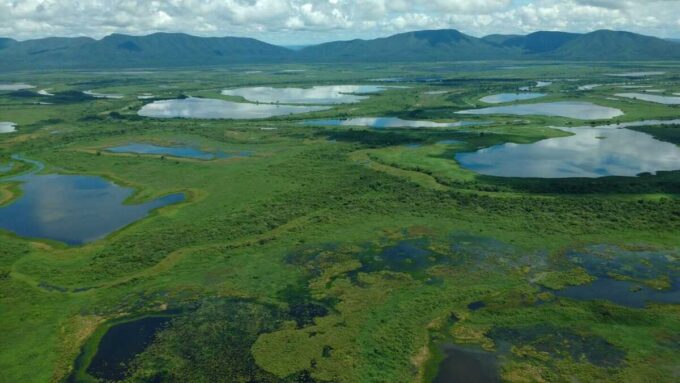 Petrobras financia projeto coordenado pela UFMS no Pantanal
