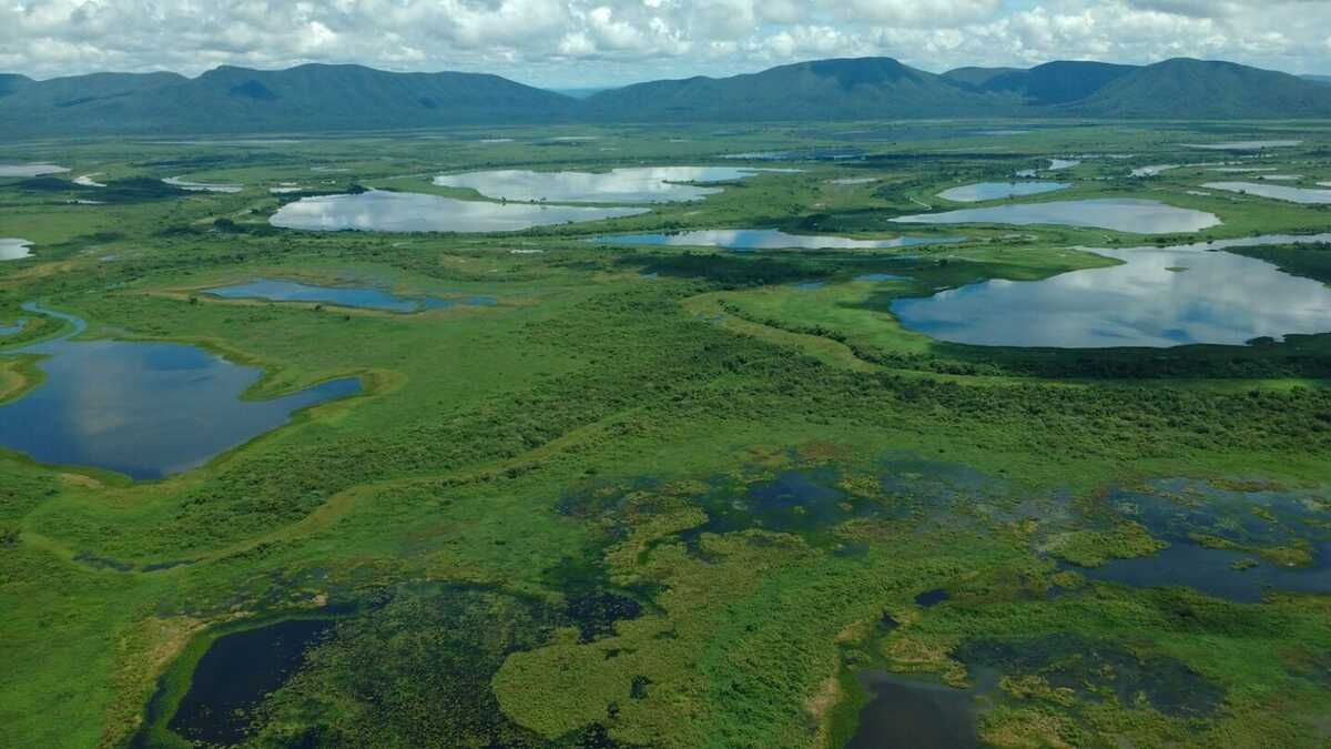 Petrobras financia projeto coordenado pela UFMS no Pantanal