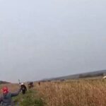 Indígena é morto a tiros em novo confronto com a polícia em Antônio João