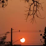 Primavera começa em 3 dias; veja como será a estação em Mato Grosso do Sul