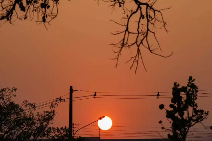 Primavera começa em 3 dias; veja como será a estação em Mato Grosso do Sul