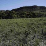 Ajuda humanitária: ribeirinhos do Alto e Baixo Pantanal recebem missão com reforço no atendimento médico