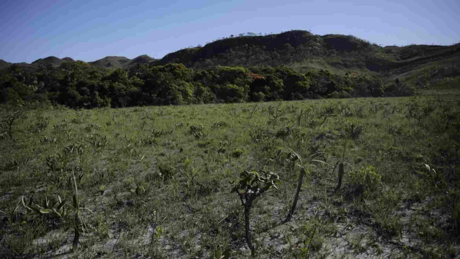 Ajuda humanitária: ribeirinhos do Alto e Baixo Pantanal recebem missão com reforço no atendimento médico
