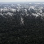 Emissão de gases do efeito estufa por queimadas na Amazônia cresce 60%