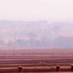 Alerta vermelho: Mato Grosso do Sul passa por pior fase de baixa umidade do ar e onda de calor