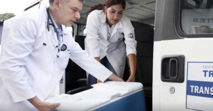 Bateria de exames em doadores é garantia de segurança em transplantes