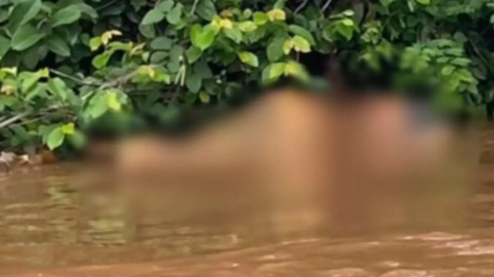 Corpo é encontrado boiando em rio em Ribas do Rio Pardo