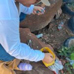 Controle de Vetores de Aquidauana alerta sobre o aumento do risco de dengue