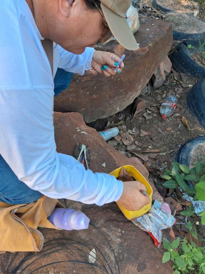 Controle de Vetores de Aquidauana alerta sobre o aumento do risco de dengue