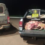 DOF prende quatro pessoas pelo crime de abigeato em Bela Vista