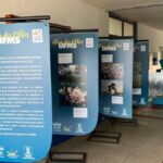 Exposições "UFMS 45 Anos" e "Além dos Olhos" chegam a Aquidauana