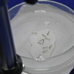 MS registra 2.445 casos confirmados de dengue