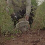 MS registra 15.927 casos confirmados de dengue