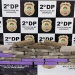 Polícia Civil apreende 16 kg de maconha em Dourados