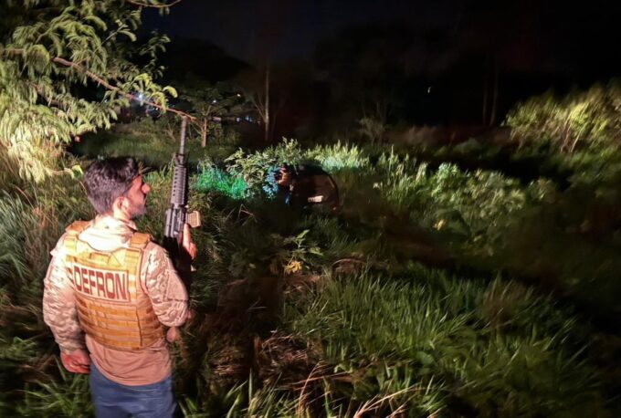 Polícia Civil apreende 700 kg de maconha em Sidrolândia