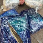 Polícia Civil e Guarda Civil Metropolitana prendem homem que recebia drogas pelos Correios em Campo Grande