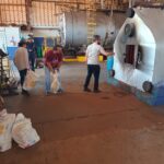 Polícia Civil incinera 100 kg de drogas em Brasilândia