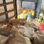 Polícia Civil incinera 13 toneladas de entorpecentes em Ponta Porã