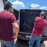 Polícias Civil e Militar prendem dois autores de furto qualificado em Caarapó e recuperam motocicleta