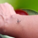 Saúde lança campanha nacional de combate à dengue, zika e chikungunya