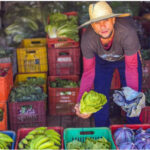 Secretaria de Saúde de MS realiza aula sobre 10 anos do Guia Alimentar